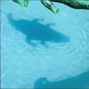 The Official Body album cover