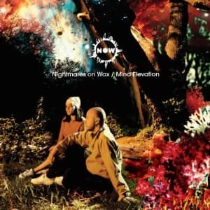 Mind Elevation album cover