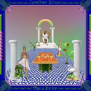 Rare Birds album cover