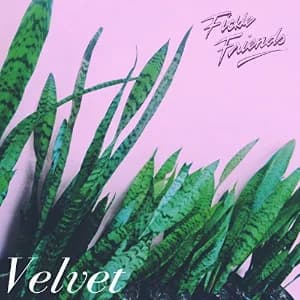 Velvet album cover
