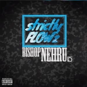 Strictly Flowz album cover