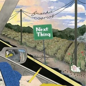 Next Thing album cover