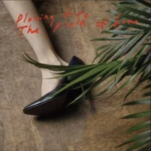 Plowing Into the Field of Love album cover