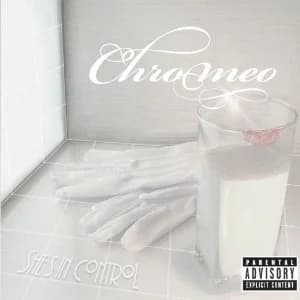 She's In Control album cover