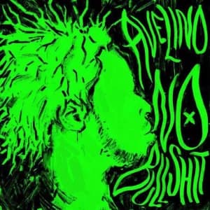 NO BULLSHIT album cover