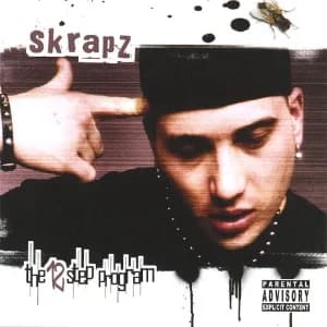 The 12 Step Program album cover