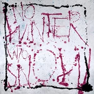 No Winter Without Snow album cover