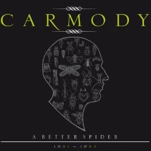 A Better Spider 1981-1985 album cover