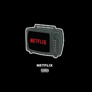 Netflix album cover