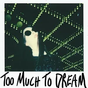Too Much to Dream album cover