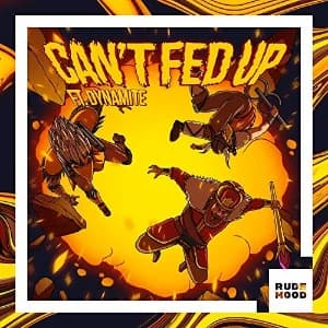 Can't Fed Up album cover