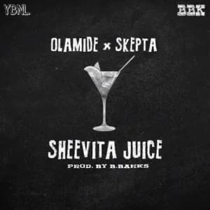 Sheevita Juice album cover