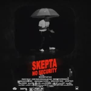 No Security album cover