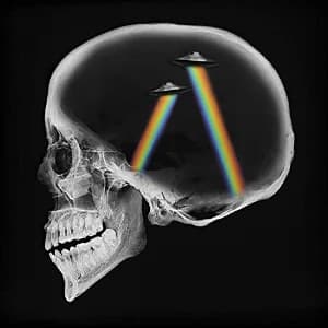 Dreamer album cover
