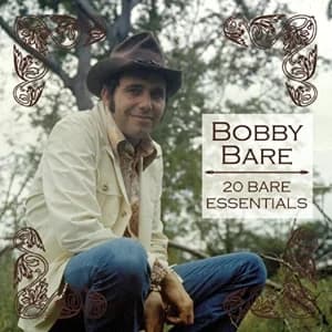 20 Bare Essentials album cover