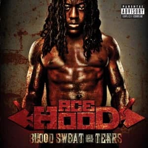 Blood Sweat & Tears album cover
