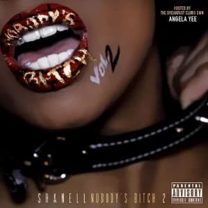 Nobodys Bitch 2 album cover