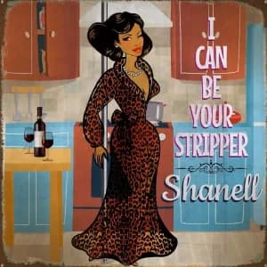 I Can Be Your Stripper album cover