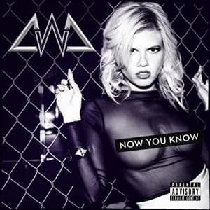 Now You Know album cover