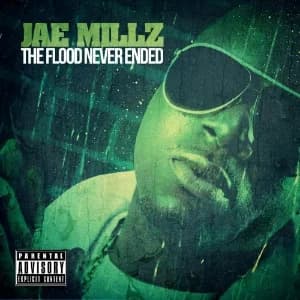 The Flood Never Ended album cover