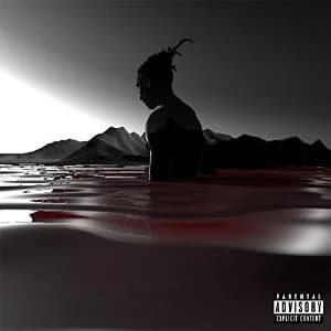 Year Of The Savage album cover