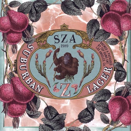 Z album cover