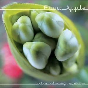 Extraordinary Machine album cover