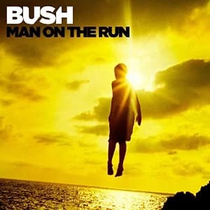 Man on the Run album cover