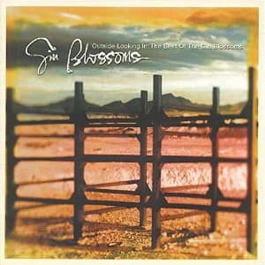 Outside Looking In: The Best Of The Gin Blossoms album cover