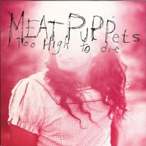 Too High to Die album cover