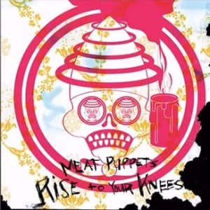 Rise to Your Knees album cover