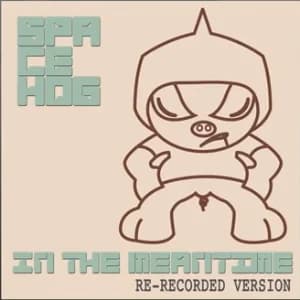 In the Meantime album cover