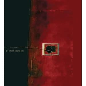 Hesitation Marks album cover