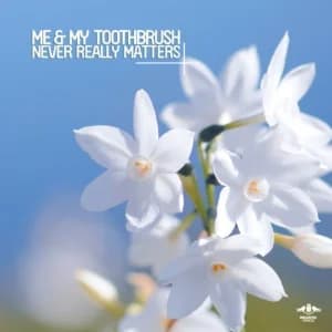 Never Really Matters album cover