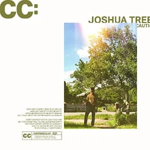 Joshua Tree album cover