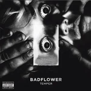 Temper album cover