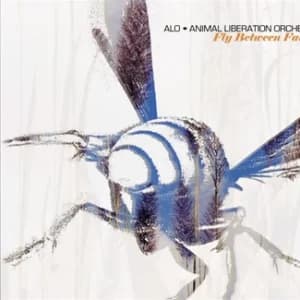 Fly Between Falls album cover
