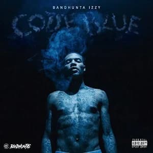 Code Blue album cover