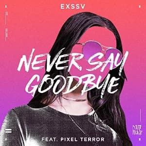 Never Say Goodbye album cover