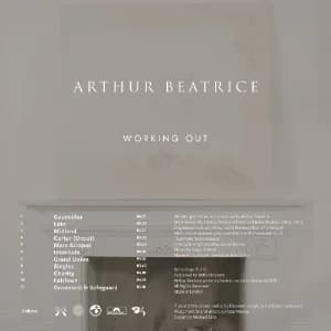 Working Out album cover
