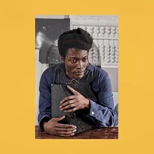I Tell A Fly album cover