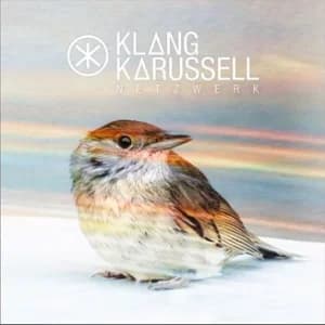 Netzwerk album cover