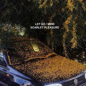 Let Go/Mind album cover