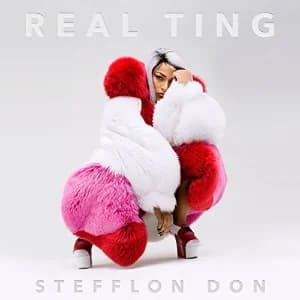 Real Ting album cover