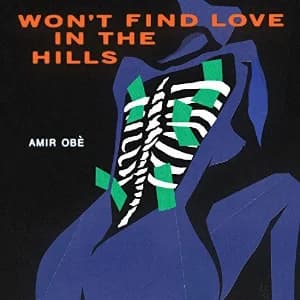 Won't Find Love in the Hills album cover