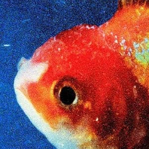Big Fish Theory album cover