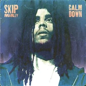 Calm Down album cover