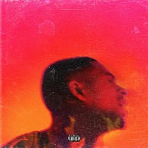 Platinum Fire album cover