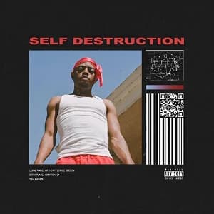 Self Destruction album cover