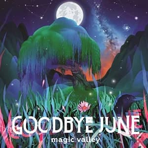 Magic Valley album cover